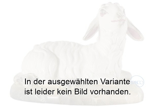 Schaf liegend