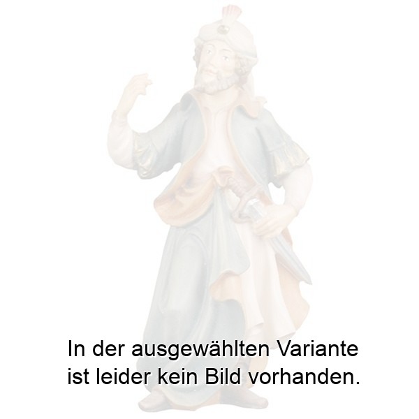 Kameltreiber