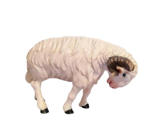 Schafbock weiß Schafbock weiß