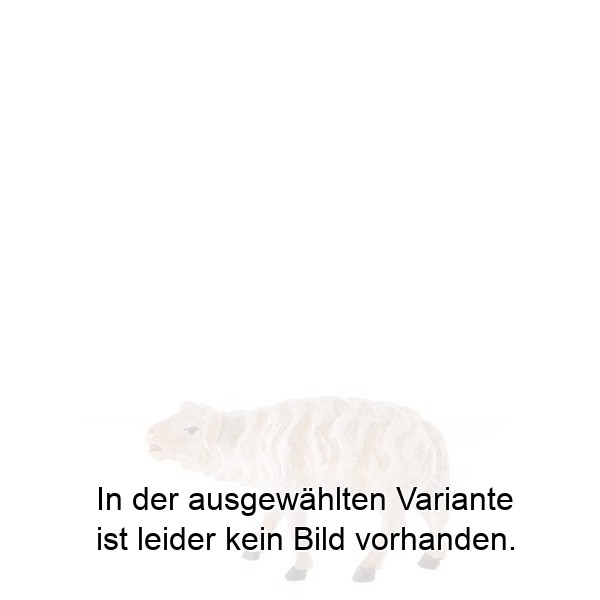 Schaf stehend Schaf stehend