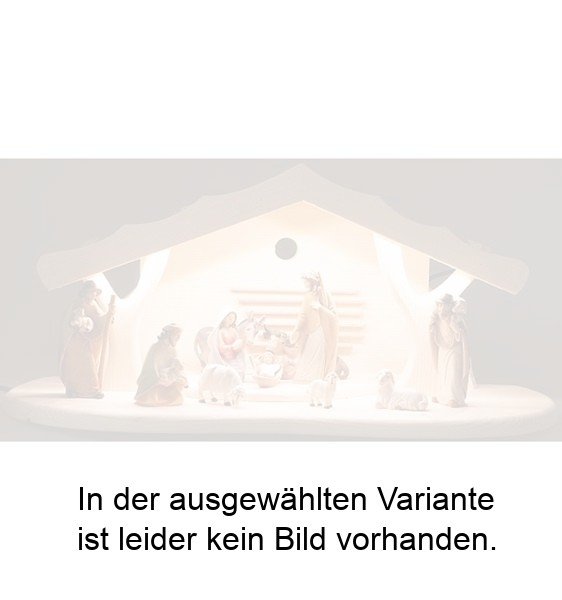 Weihnachtskrippenstall beleuchtet mit 11 Morgenstern Figuren Weihnachtskrippenstall beleuchtet mit 11 Morgenstern Figuren