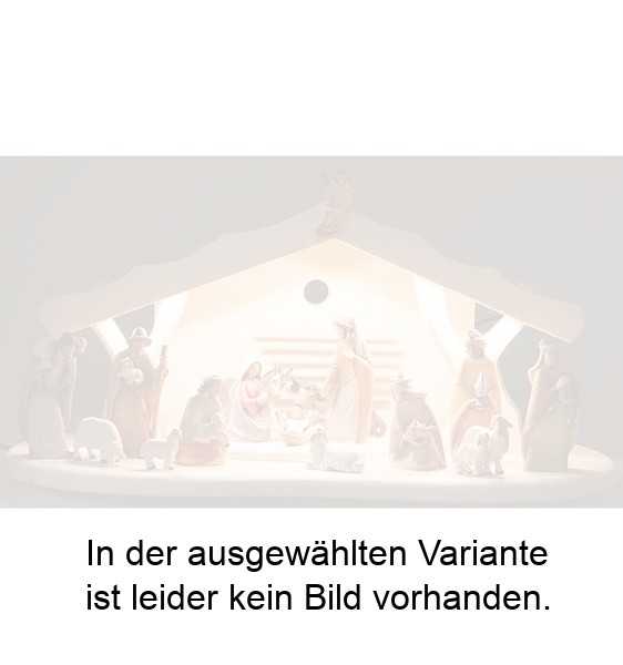 Weihnachtskrippe mit Beleuchtung mit 16 Morgenstern Figuren Weihnachtskrippe mit Beleuchtung mit 16 Morgenstern Figuren