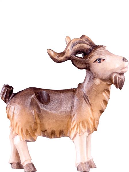 Ziegenbock Ziegenbock