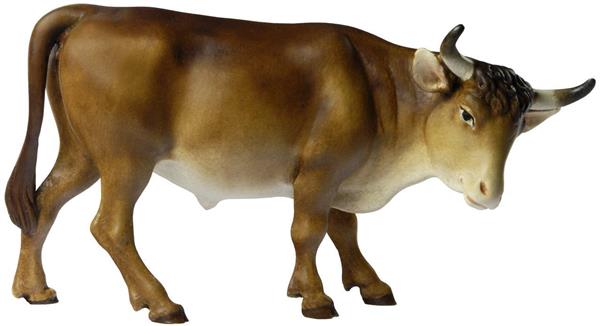 Ochs stehend