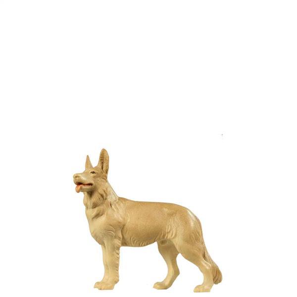 Schäferhund Schäferhund