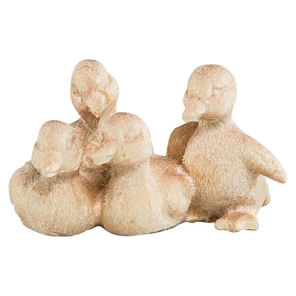 Entenküken Entenküken