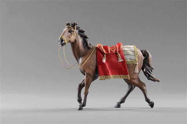 Pferd besattelt Hannah Pferd besattelt Hannah