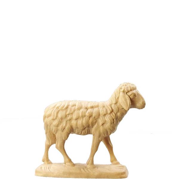 Schaf stehend Schaf stehend
