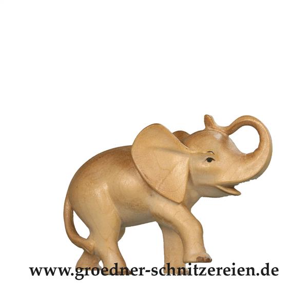 Junger Elefant
