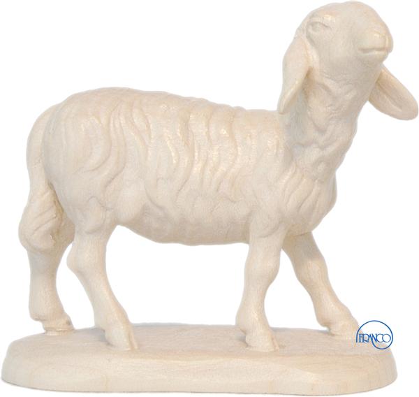 Schaf Kopf erhoben