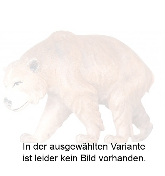 Braunbär Braunbär