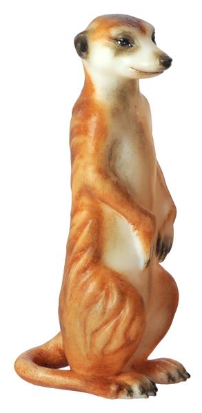 Erdmännchen sitzend