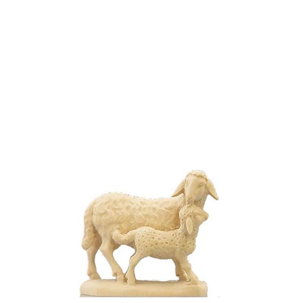 Schaf mit Lamm Schaf mit Lamm