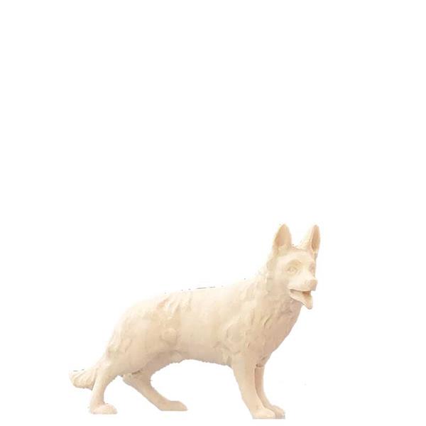 Schäferhund Schäferhund