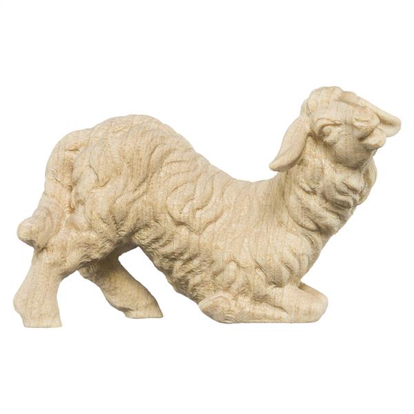 Schaf kniend Schaf kniend