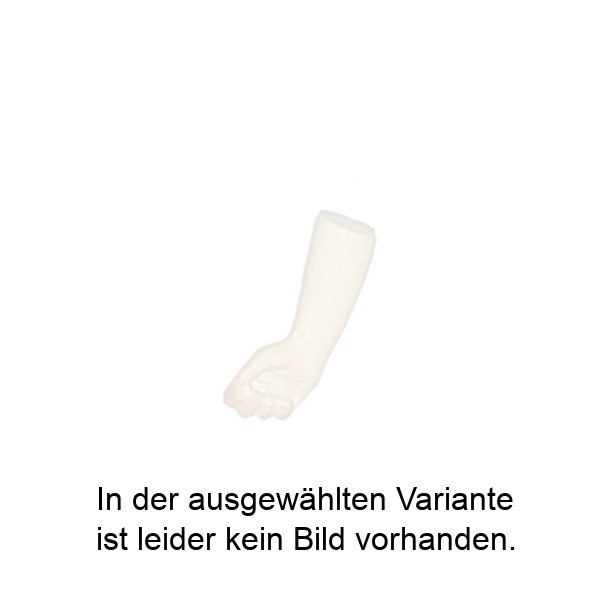 Rechte, geschlossene Hand Rechte, geschlossene Hand