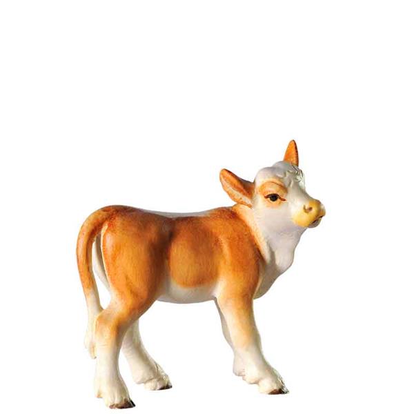 Kalb stehend hellbraun