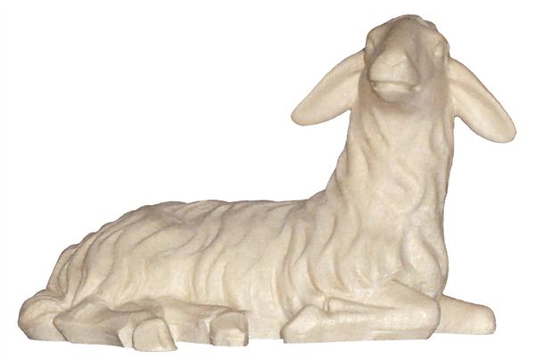 Schaf liegend links Schaf liegend links