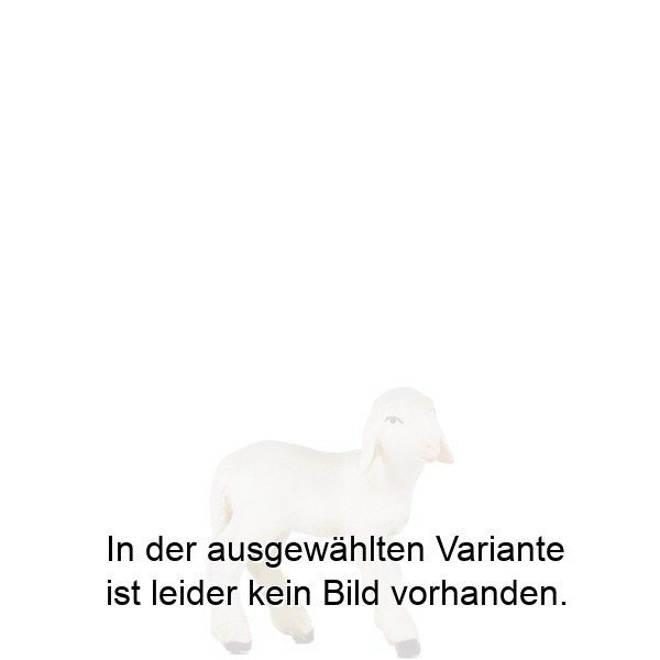 Lamm links Lamm links