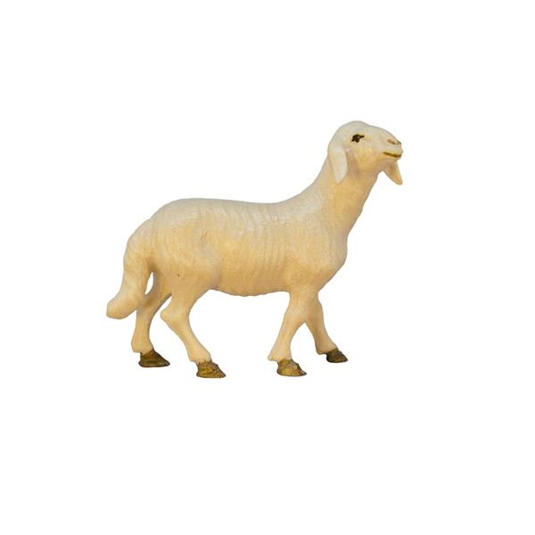 Schaf stehend