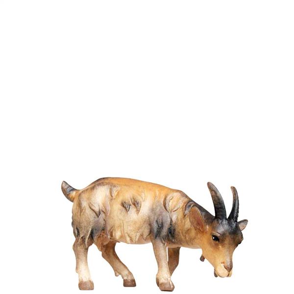 Ziege fressend Ziege fressend