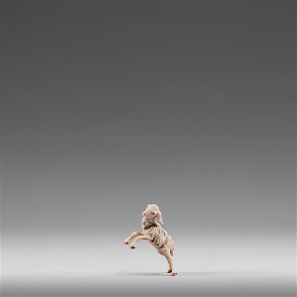 Lamm springend Lamm springend