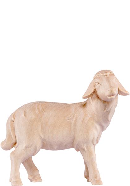 Schaf stehend Artis