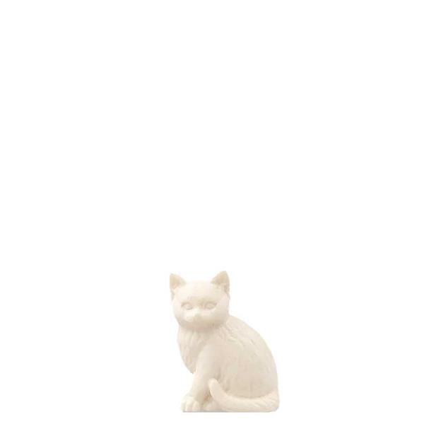 Katzenjunge rechts