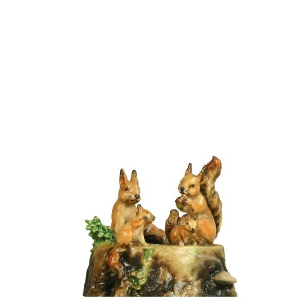 Eichhörnchen Familie