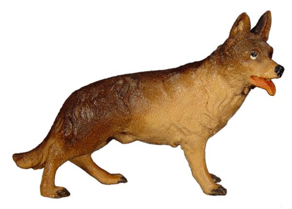 Schäferhund Schäferhund