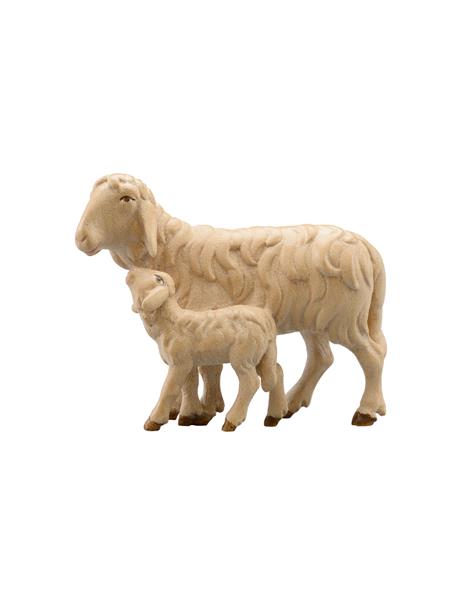 Schaf laufend mit Lamm