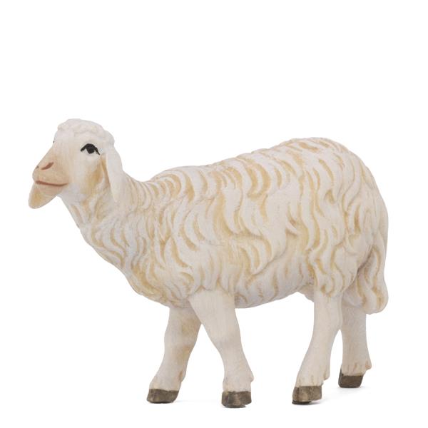 Schaf stehend links Schaf stehend links