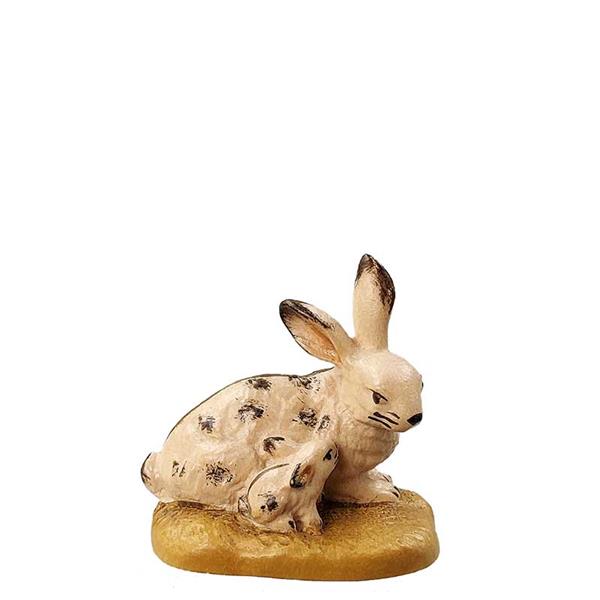 Hase