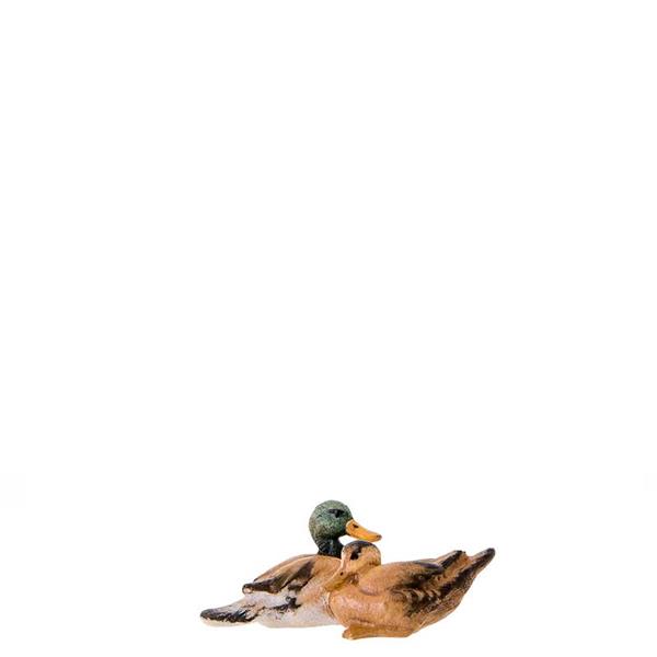 Wildentengruppe Wildentengruppe