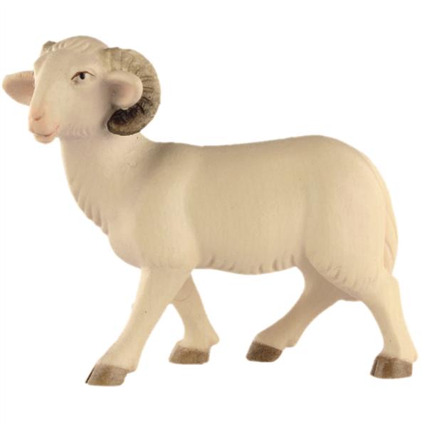 Schafbock Schafbock