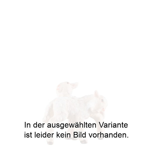 Lämmergruppe stehend Lämmergruppe stehend