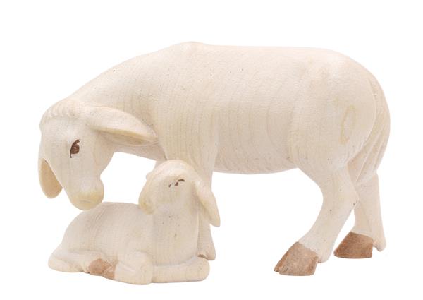 Schaf stehend mit Lamm Schaf stehend mit Lamm