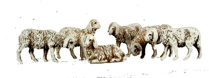 6 verschiedene Schafe