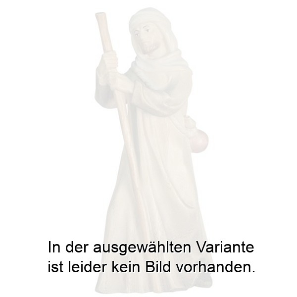 Kameltreiber