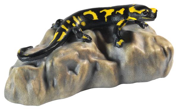 Salamander einzeln auf Stein