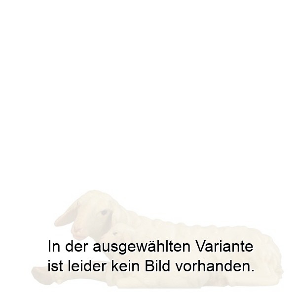 Mutterschaf liegend Mutterschaf liegend