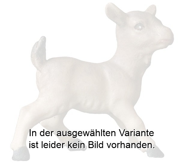 Ziegenkitz