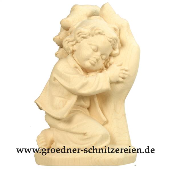 Schützende Hand Junge Schützende Hand Junge