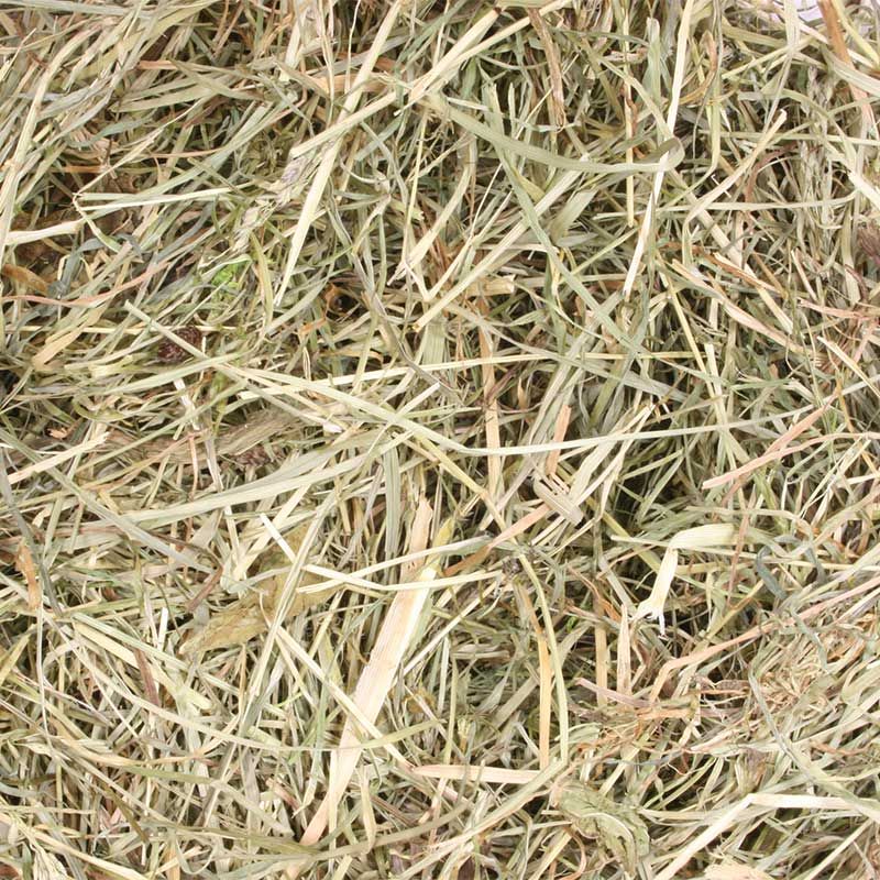 Heu grob - Krippenzubehör Heu grob - Krippenzubehör