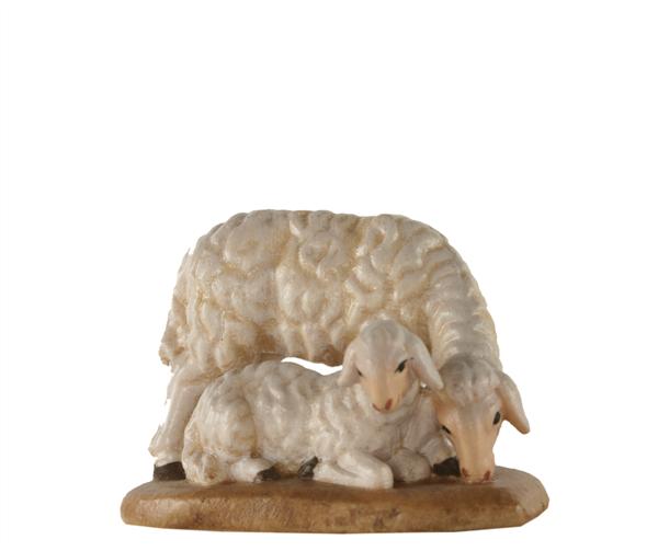 Schafgruppe liegend Schafgruppe liegend