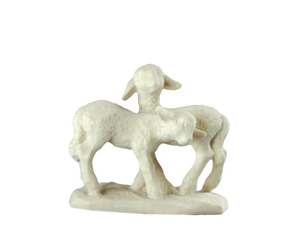 Lammgruppe Nr.92 Lammgruppe Nr.92