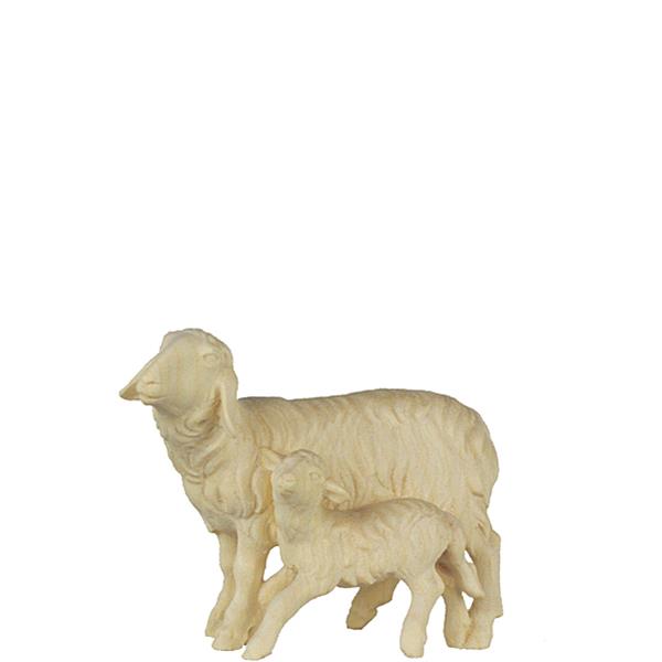Schaf und Lamm stehend