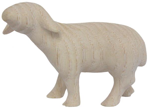 Schaf oben schauend Schaf oben schauend