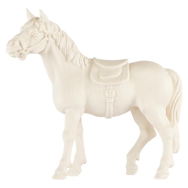 Pferd weiß Pferd weiß