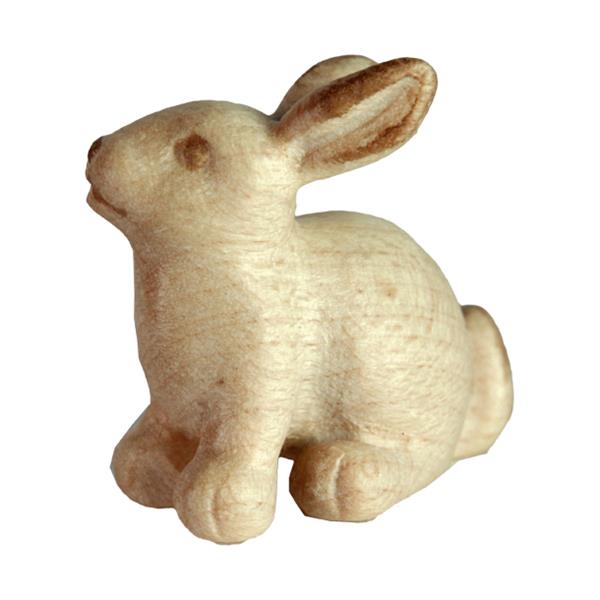 Hase